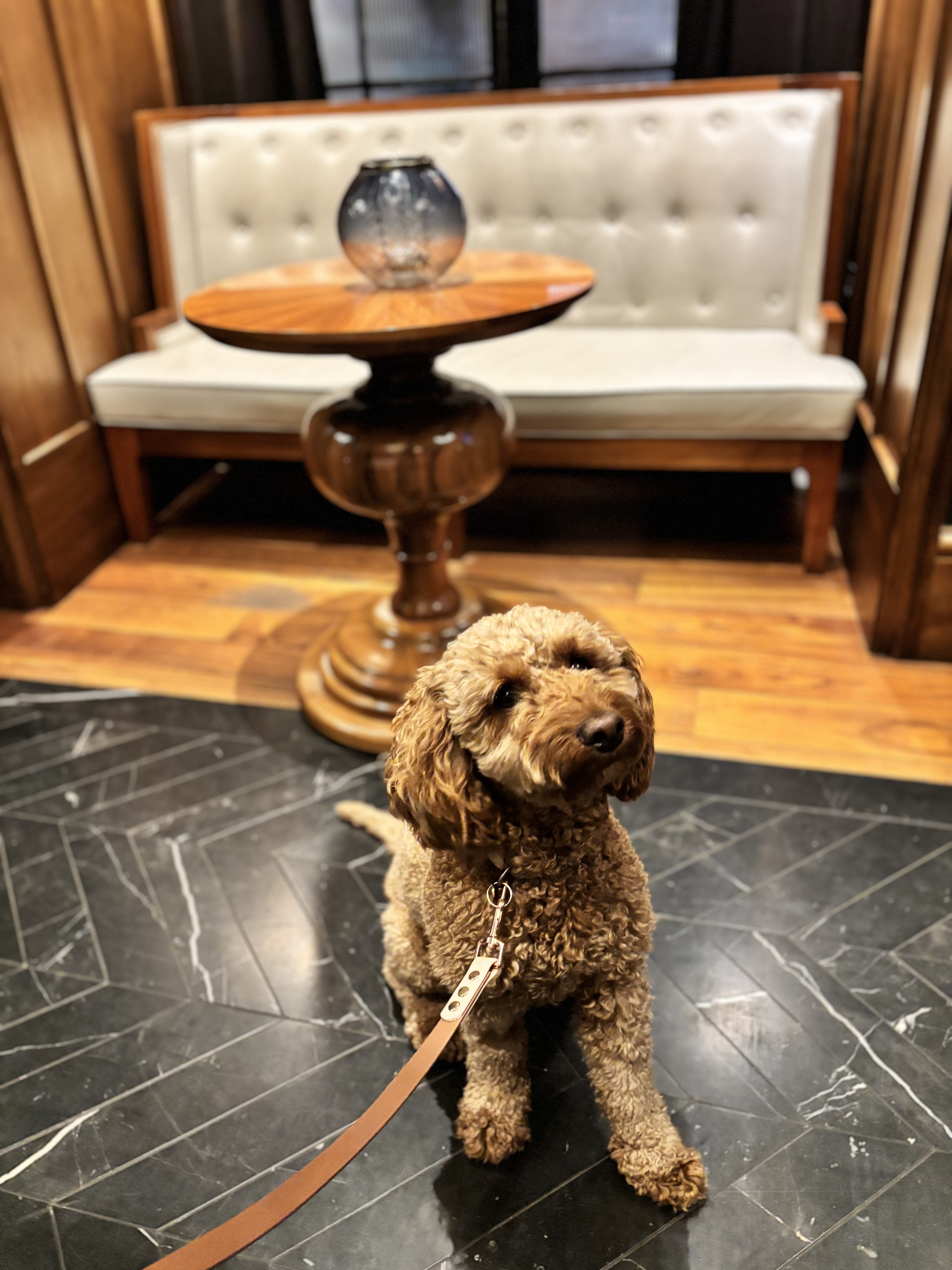 Hotel Lobby