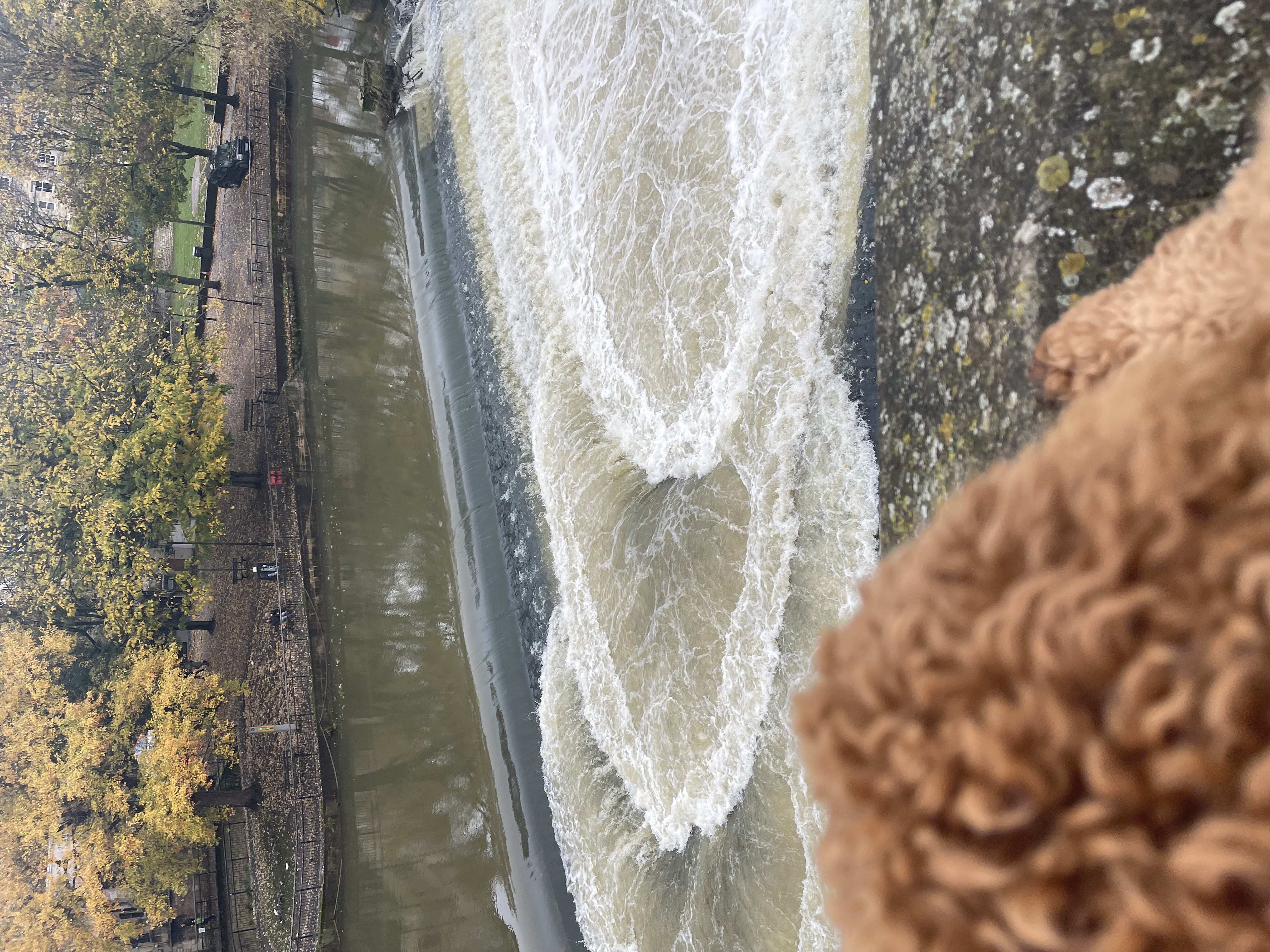 Bath Falls