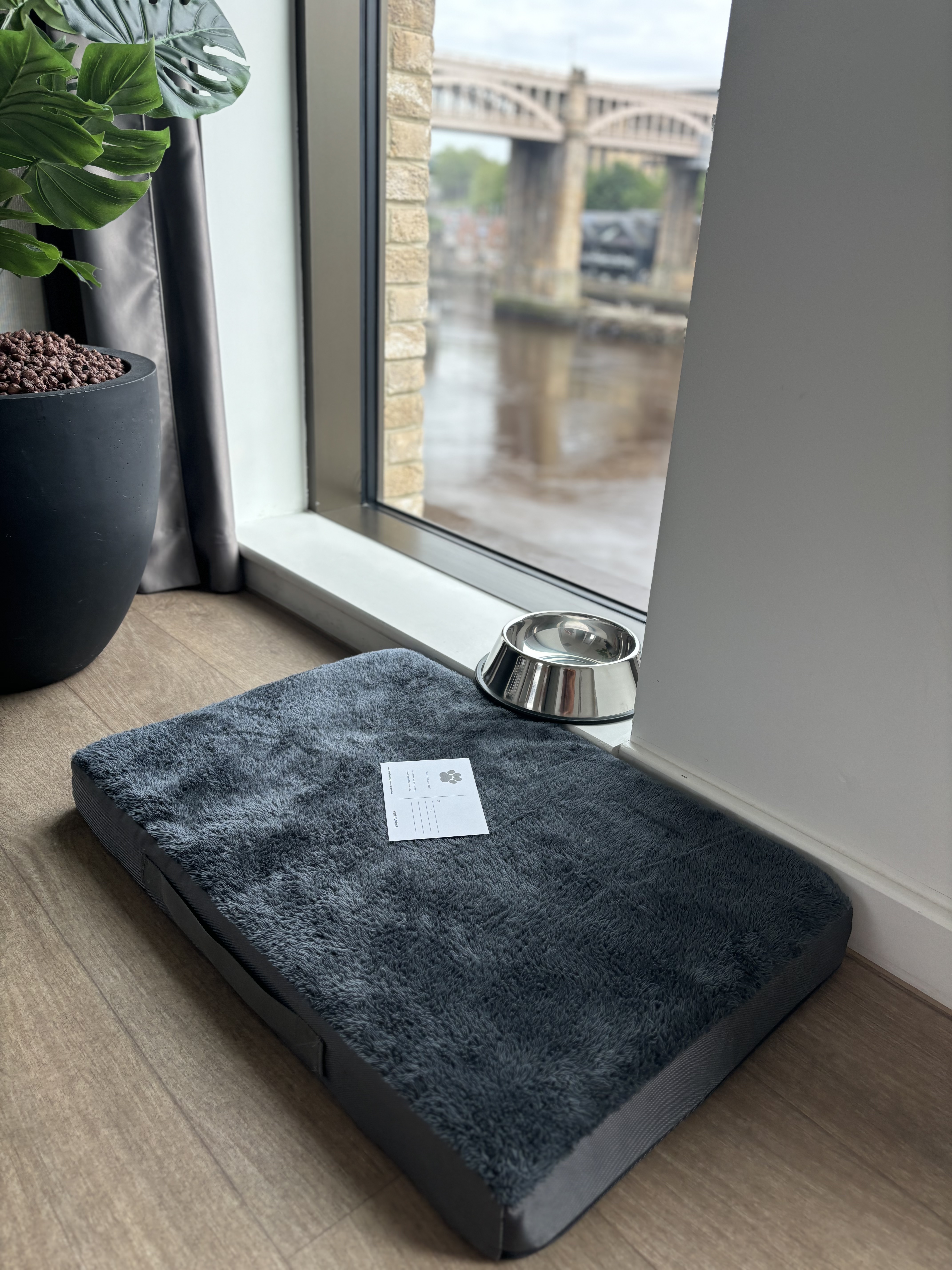 Hotel ammenities for dogs