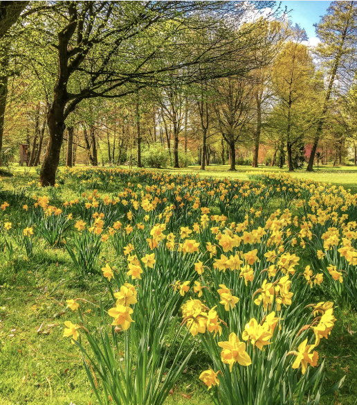 Loseley Park