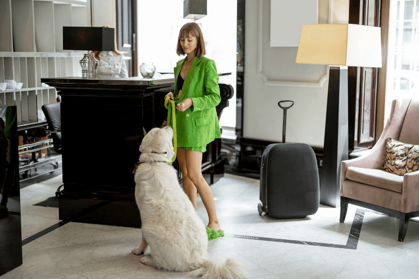 Owner and dog in chic hotel room