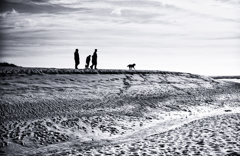 Dog and humans walking on the beach