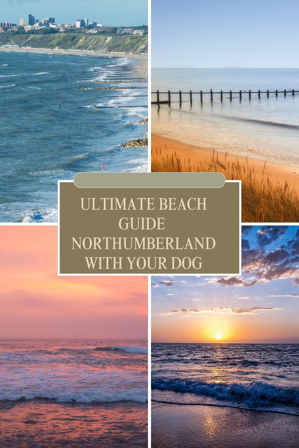 Coastal Adventures